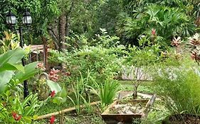 Dream House Homestay Minca